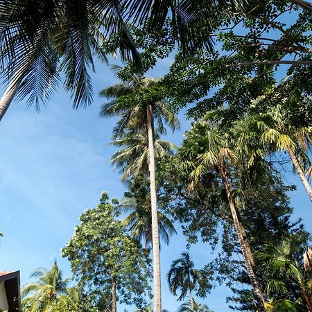 Phuket Leelavadee Hua Ting Resort Patong 外观 照片